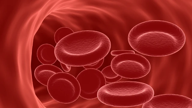 bai-viet/thieu-mau-nhung-khong-thieu-sat-va-3-nguyen-nhan-thuong-gap.html