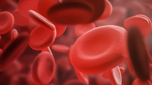 bai-viet/thieu-mau-thieu-sat-nen-an-gi-nhung-thuc-pham-cho-nguoi-bi-thieu-mau-thieu-sat.html