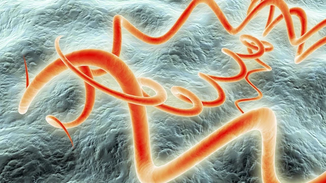 bai-viet/thoi-gian-u-benh-giang-mai-keo-dai-bao-lau.html