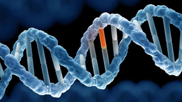 bai-viet/thong-tin-can-nam-ve-dinh-luong-papp-a.html