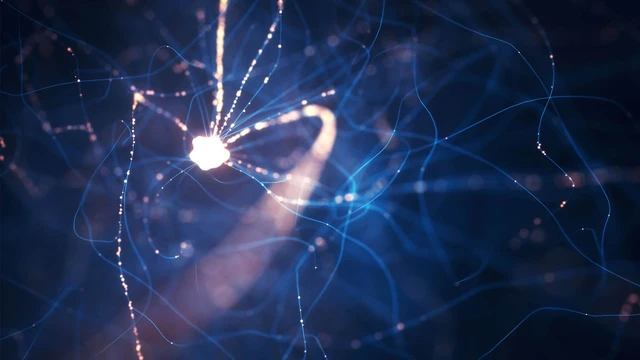 bai-viet/thu-cam-dau-la-gi-co-may-loai-thu-cam-dau.html