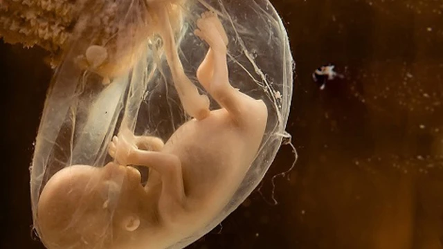 bai-viet/bam-oi-co-nguy-hiem-khong-luu-y-khi-bam-oi-cho-ba-bau.html