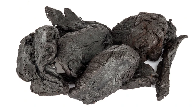 bai-viet/thuc-dia-la-gi-tac-dung-cua-thuc-dia-va-mot-so-luu-y-khi-su-dung.html