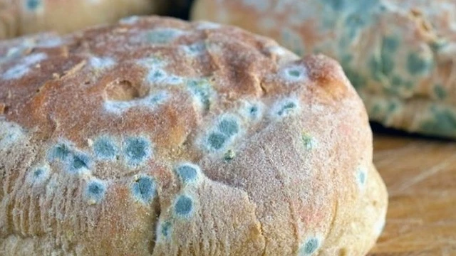 bai-viet/thuc-pham-ban-la-gi-muc-do-nguy-hiem-huy-hoai-co-the-nhu-the-nao-70143.html