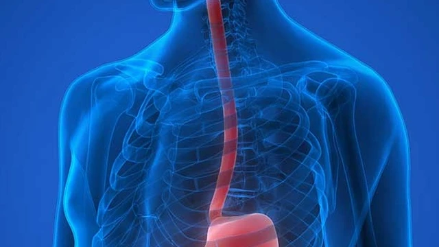 bai-viet/thuc-quan-chuc-nang-va-benh-ly-lien-quan-thuong-gap.html