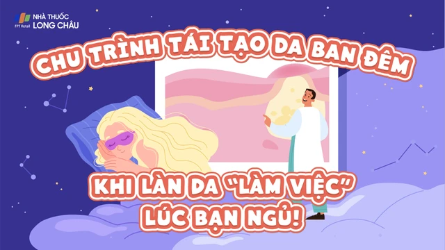 bai-viet/infographic-chu-trinh-tai-tao-da-ban-dem-khi-lan-da-lam-viec-luc-ban-ngu.html