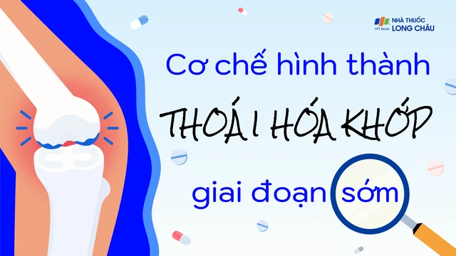 bai-viet/infographic-co-che-hinh-thanh-thoai-hoa-khop-giai-doan-som.html