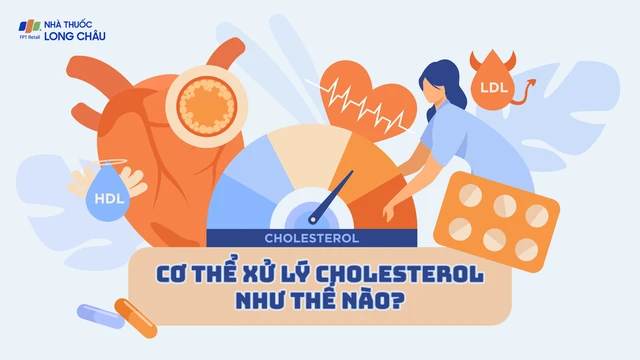 bai-viet/infographic-co-the-xu-ly-cholesterol-nhu-the-nao.html