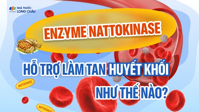 bai-viet/infographic-enzyme-nattokinase-ho-tro-lam-tan-huyet-khoi-nhu-the-nao.html