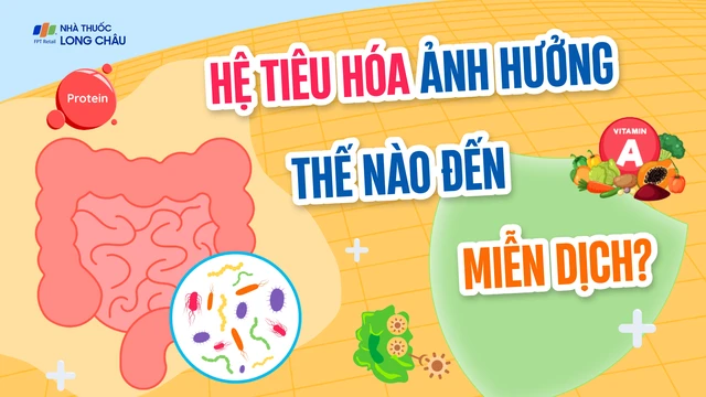 bai-viet/infographic-he-tieu-hoa-anh-huong-the-nao-den-mien-dich.html