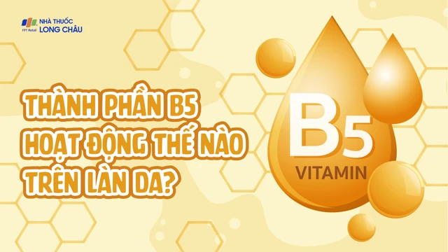 bai-viet/infographic-thanh-phan-b5-hoat-dong-the-nao-tren-lan-da.html