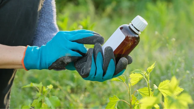 bai-viet/thuoc-diet-co-sinh-hoc-co-doc-khong-anh-huong-gi-den-suc-khoe.html