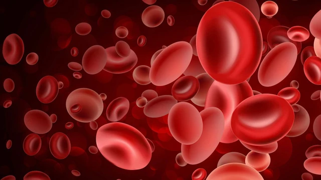 bai-viet/thuoc-kalimate-la-thuoc-gi-nhung-dieu-can-biet-khi-su-dung-thuoc-kalimate-69001.html