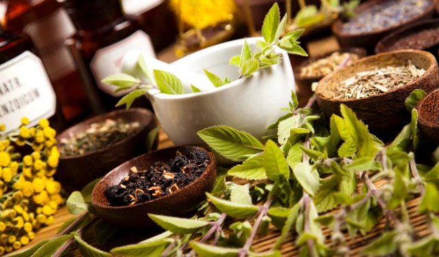 bai-viet/thuoc-nam-dieu-tri-nam-hong-nhu-the-nao-55656.html