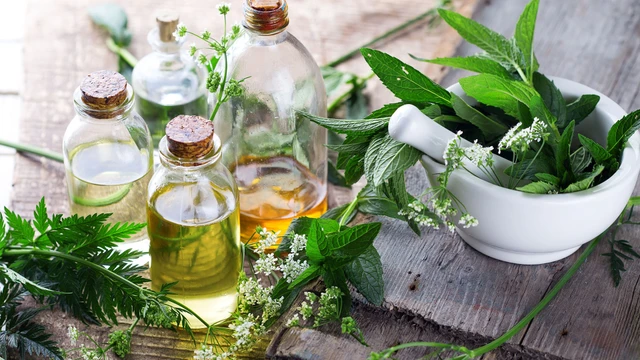 bai-viet/thuoc-nam-giam-can-co-hai-khong-mot-so-cay-thuoc-nam-giam-can-hieu-qua.html