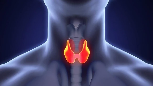 bai-viet/thyroid-la-gi-va-nhung-benh-ly-thuong-gap.html