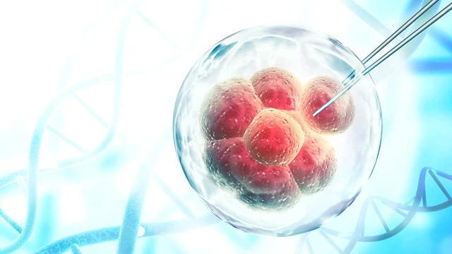 bai-viet/tiem-te-bao-goc-co-tac-dung-nhu-the-nao-trong-dieu-tri-thoai-hoa-khop.html