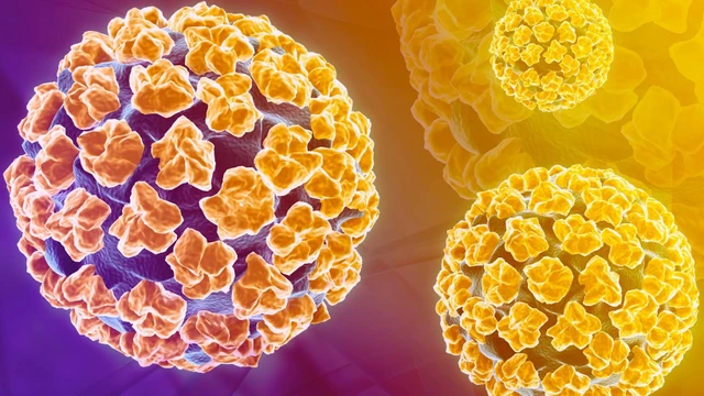 bai-viet/tiem-vac-xin-hpv-o-dau-tai-quan-ha-dong-an-toan-va-dam-bao-chat-luong.html