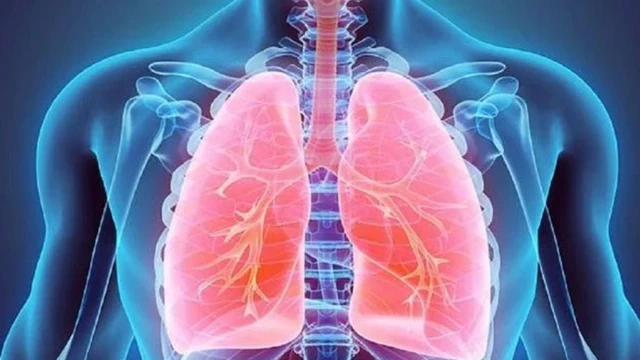 bai-viet/tieng-co-mang-phoi-dau-hieu-cua-viem-mang-phoi-can-luu-tam.html