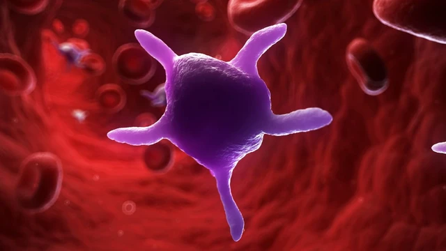 bai-viet/tieu-cau-la-gi-nhung-dieu-can-biet-de-hieu-ro-suc-khoe-cua-ban.html