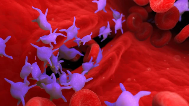 bai-viet/tieu-cau-tang-bao-nhieu-la-nguy-hiem-nhung-luu-y-cho-nguoi-benh-tang-tieu-cau-la-gi.html