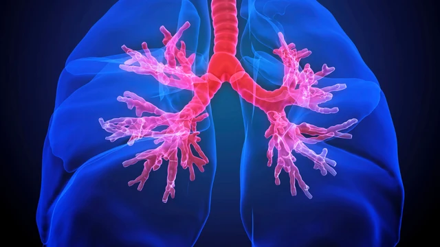 bai-viet/tieu-phe-quan-la-gi-vai-tro-trong-he-ho-hap.html