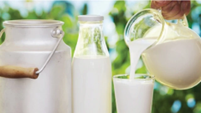 bai-viet/tim-hieu-co-tu-cung-ngan-nen-an-gi-thi-tot-61441.html