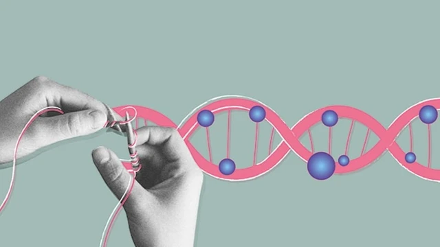 bai-viet/methyl-hoa-la-gi-vai-tro-cua-methyl-hoa-doi-voi-suc-khoe.html