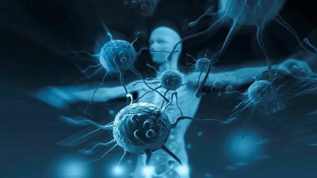 bai-viet/mien-dich-tu-nhien-la-gi-mien-dich-tu-nhien-quan-trong-nhu-the-nao.html