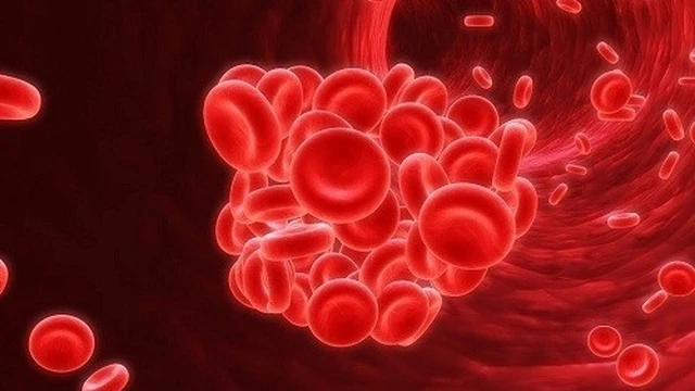 bai-viet/tim-hieu-so-luong-hong-cau-o-co-the-nguoi-binh-thuong-la-bao-nhieu.html