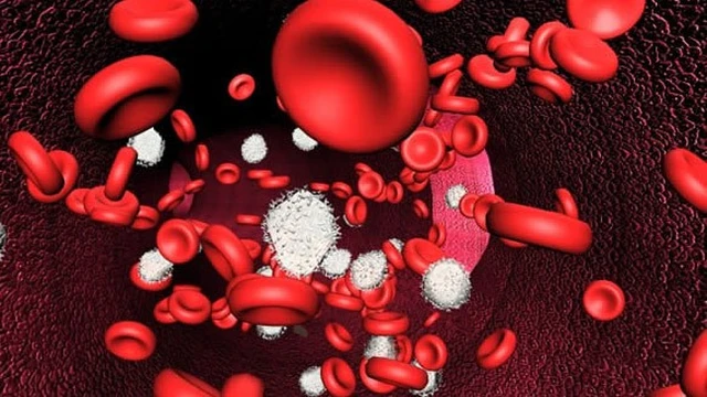 bai-viet/tim-hieu-thong-tin-ve-hien-tuong-thieu-mau-tan-huyet-24213.html