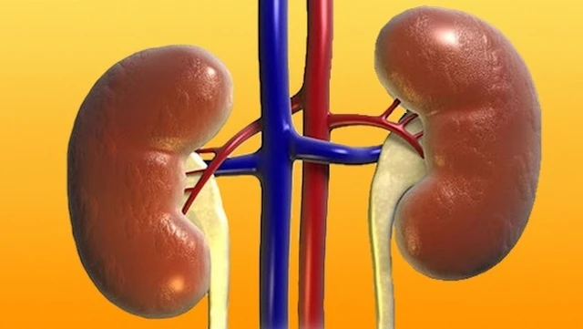 bai-viet/tim-hieu-ve-tinh-trang-tieu-duong-bien-chung-qua-than-va-bien-phap-phong-ngua.html