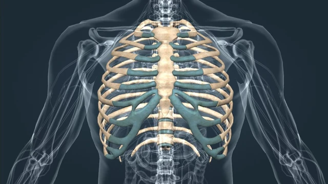 bai-viet/xuong-suon-vi-tri-cau-tao-chuc-nang-va-mot-so-benh-ly-thuong-gap.html