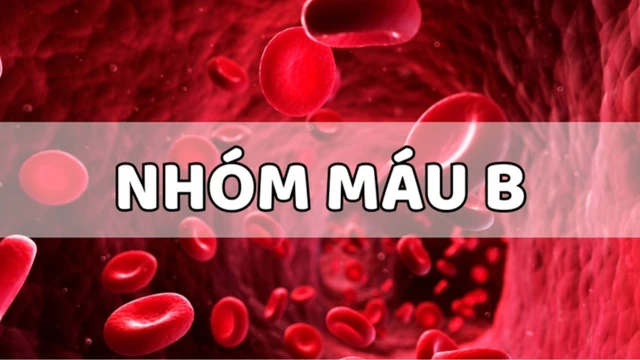 bai-viet/tinh-cach-nhom-mau-b-nhu-the-nao-doan-tinh-cach-qua-nhom-mau-co-chinh-xac.html