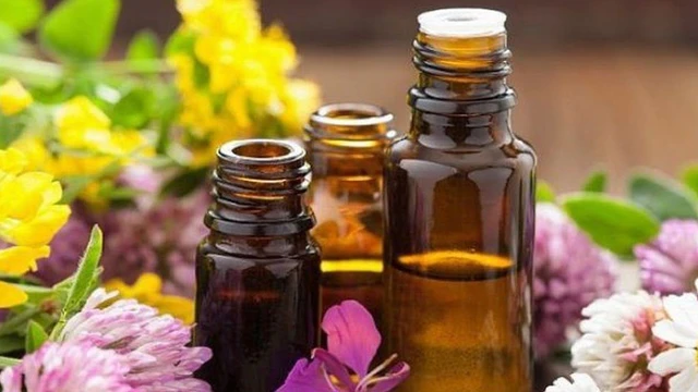 bai-viet/tinh-dau-go-hong-co-that-su-tot-kham-pha-loi-ich-bat-ngo-tu-tinh-dau-go-hong.html