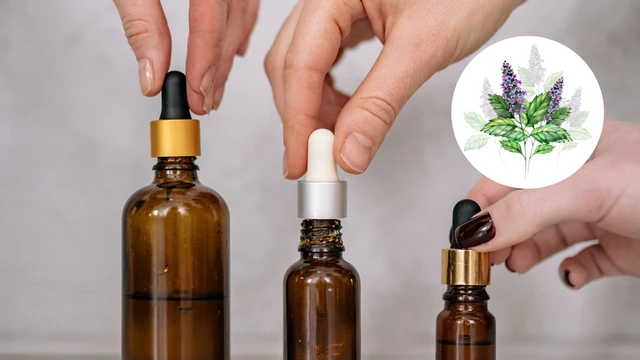 bai-viet/tinh-dau-hoac-huong-co-tac-dung-gi-loi-ich-va-rui-ro-tiem-an.html