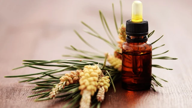 bai-viet/tinh-dau-thong-do-co-tac-dung-gi-cach-su-dung-hieu-qua.html