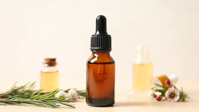 bai-viet/tinh-dau-tram-tra-6-cong-dung-tuyet-voi-trong-lam-dep.html