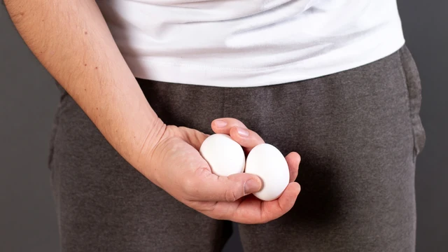 bai-viet/tinh-hoan-la-gi-cau-tao-chuc-nang-va-cac-benh-ly-nam-gioi-can-biet.html