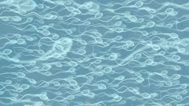 bai-viet/tinh-trung-dac-nhu-thach-co-sao-khong-nhung-luu-y-de-cai-thien-chat-luong-tinh-trung.html