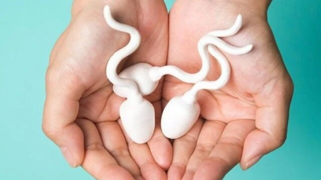 bai-viet/tinh-trung-song-duoc-bao-lau-trong-nuoc-yeu-to-anh-huong-den-thoi-gian-song-cua-tinh-trung.html