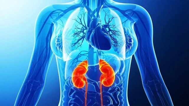 bai-viet/ton-thuong-than-cap-aki-nguyen-nhan-do-dau.html