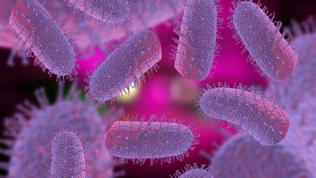 bai-viet/tong-hop-7-benh-do-virus-nguy-hiem-den-suc-khoe.html