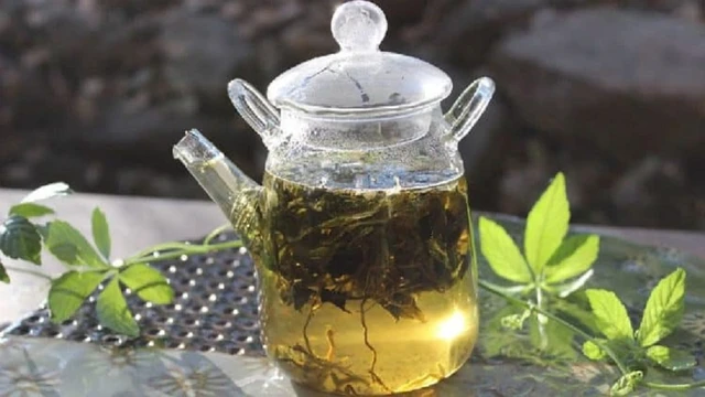 bai-viet/top-10-loai-tra-giam-mo-mau-hieu-qua-63323.html