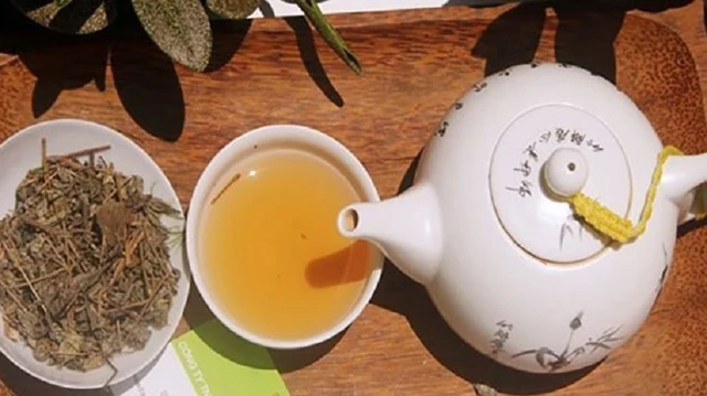 bai-viet/uong-tra-day-hang-ngay-co-tot-khong-cach-uong-tra-day-dung-va-hieu-qua.html