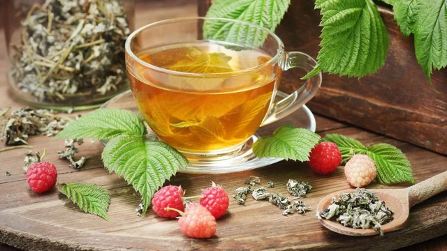 Trà mâm xôi có tác dụng gì? Lợi ích và cách dùng an toàn