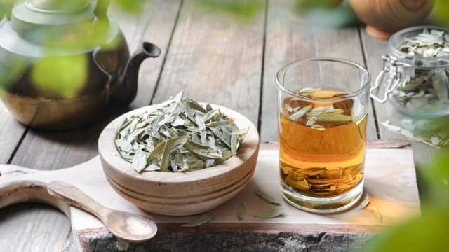 bai-viet/tra-phan-ta-diep-va-nhung-loi-ich-suc-khoe-it-ai-ngo-den.html