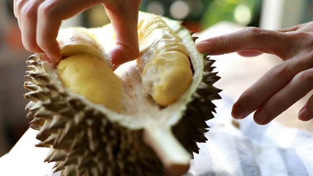 bai-viet/trai-sau-rieng-ky-gi-an-bao-nhieu-sau-rieng-la-du.html