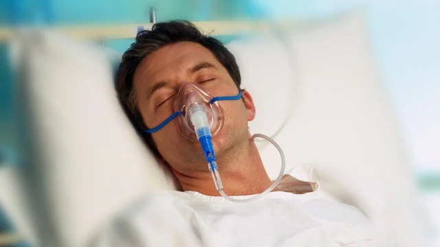 bai-viet/trang-thai-thuc-vat-hieu-ro-ve-tinh-trang-nguyen-nhan-va-cach-dieu-tri.html