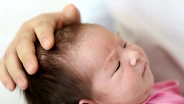 bai-viet/tre-3-thang-bi-meo-dau-co-tron-lai-duoc-khong-can-di-kham-khi-nao.html